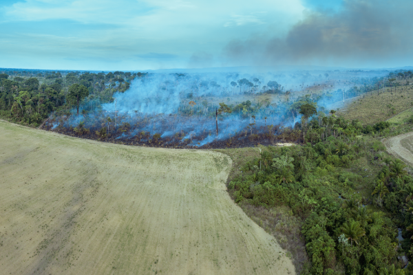 An illegal fire in the Amazon forest in Brazil.