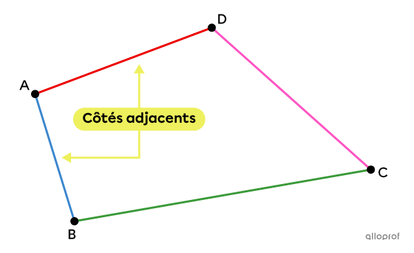Des côtés adjacents dans un polygone ont un sommet en commun.