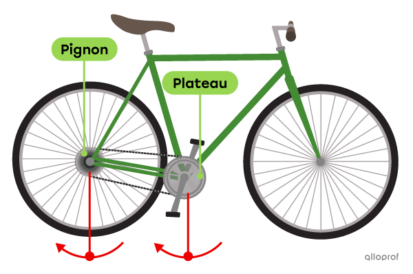 Le mécanisme de transmission d’une bicyclette est réversible. Le pédalier et la roue libre peuvent assurer la fonction d’organe menant ou d’organe mené.