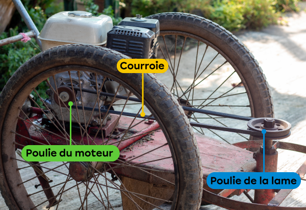 La rotation de la poulie verticale est transmise à une poulie horizontale dans ce mécanisme à poulies et à courroie.