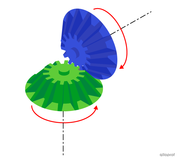 The rotation of the horizontal bevel gear drives the rotation of the vertical bevel gear.
