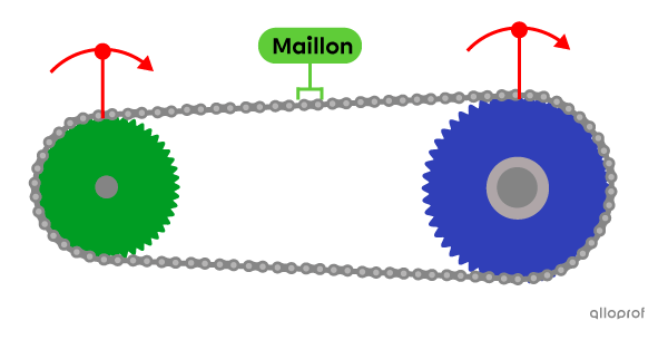 La rotation de la première roue dentée entraine le mouvement de la chaine, l’organe intermédiaire, qui permet la rotation de la deuxième roue dentée.