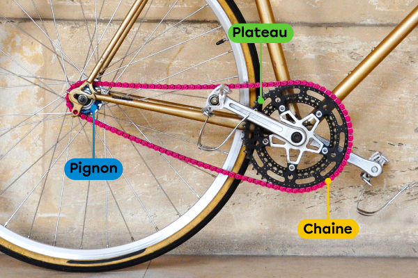 La transmission d’un vélo utilise un mécanisme à chaine et à roues dentées pour assurer le déplacement du vélo.