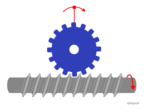 The rotation of the worm drives the rotation of the worm gear due to its helical threads.