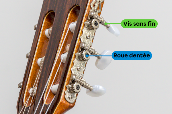 Les clés utilisent un mécanisme à vis sans fin et à roue dentée pour tendre ou détendre les cordes d’une guitare.