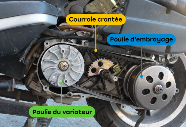 Le variateur, la poulie d’embrayage et la courroie d’un mécanisme à poulies et à courroie d’un scooter.