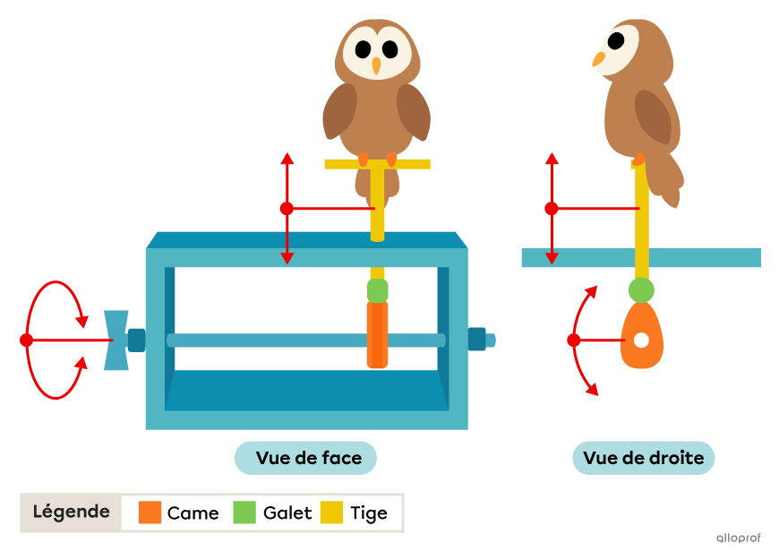 Un jouet qui utilise un mécanisme à came et à galet pour monter ou descendre le hibou.