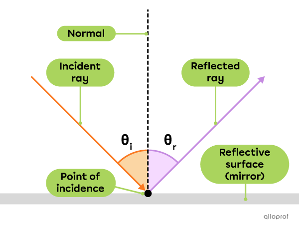 Diagram of the reflection of light in a plane mirror.