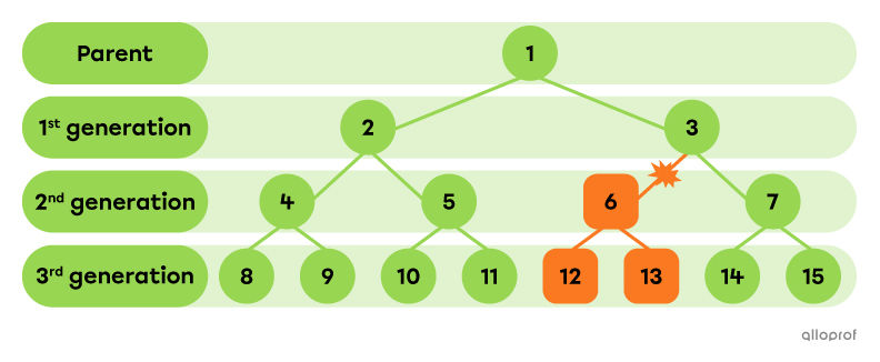 Impact of a genetic mutation on a population that reproduces asexually