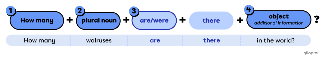 Specific question with “how many”