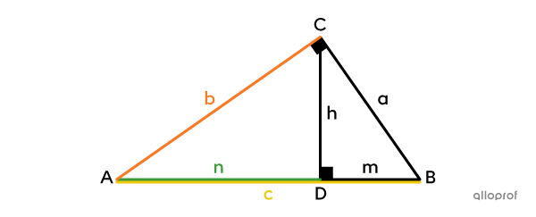 Les segments utilisés pour la deuxième formule du théorème de la cathète