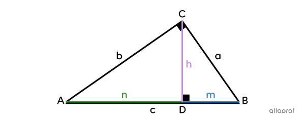 Les segments utilisés pour la formule du théorème de la hauteur relative à l’hypoténuse
