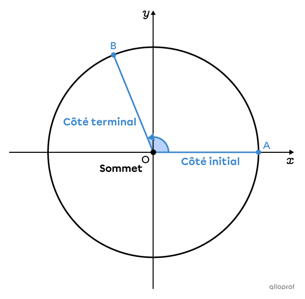 Un angle trigonométrique a un côté initial et un côté terminal.