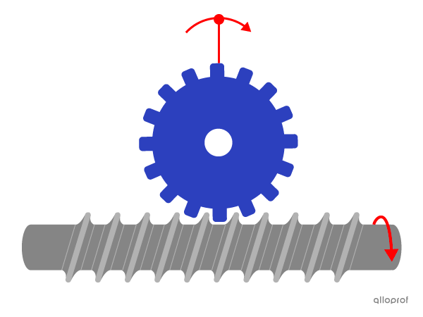 The direction of rotation of components cannot be compared in a worm and worm gear system.