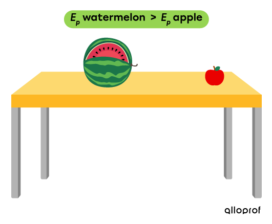 The gravitational potential energy of the watermelon is greater than the apple’s.