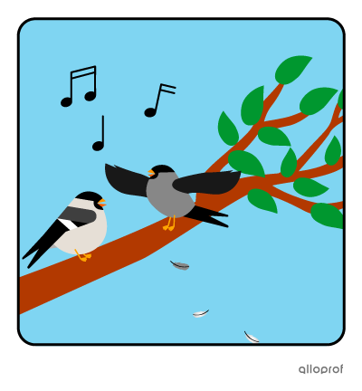 Birds on branch.