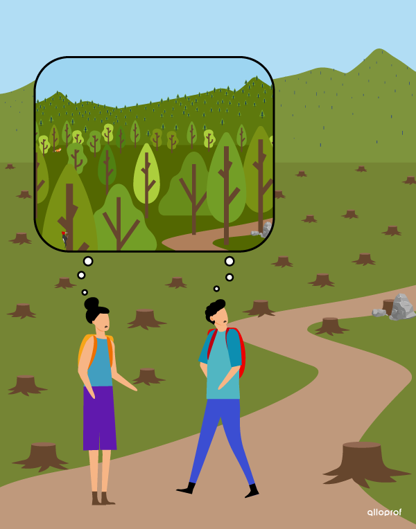 Randonneurs dans une forêt déboisée.