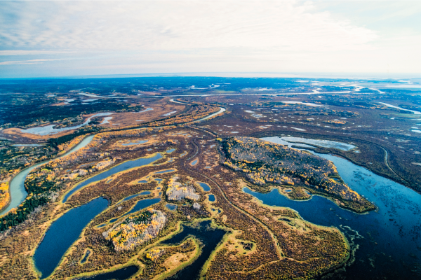 Aerial view of Wood Buffalo National Park.
