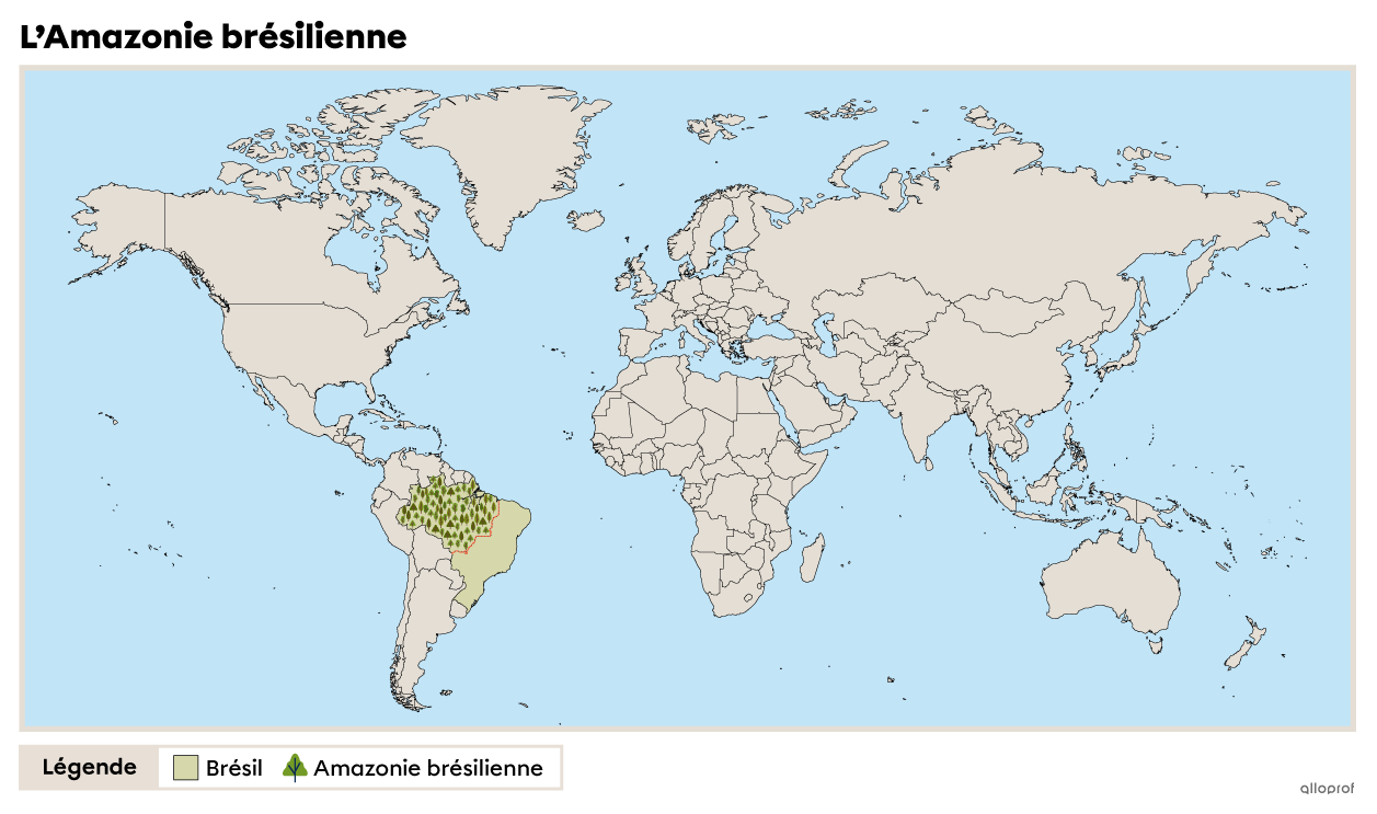 L’Amazonie brésilienne.