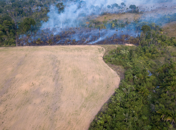 Illegal Fire in Amazonia.