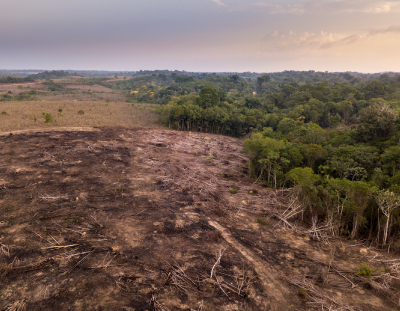 Soil Depletion.