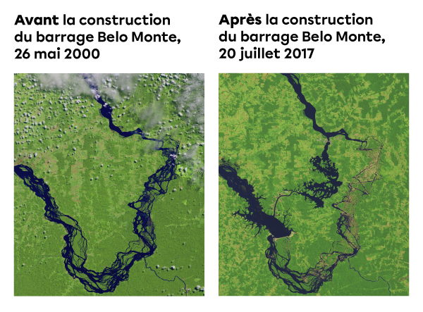 Xingu River.