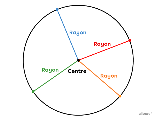 Il y a une infinité de rayons dans un cercle.