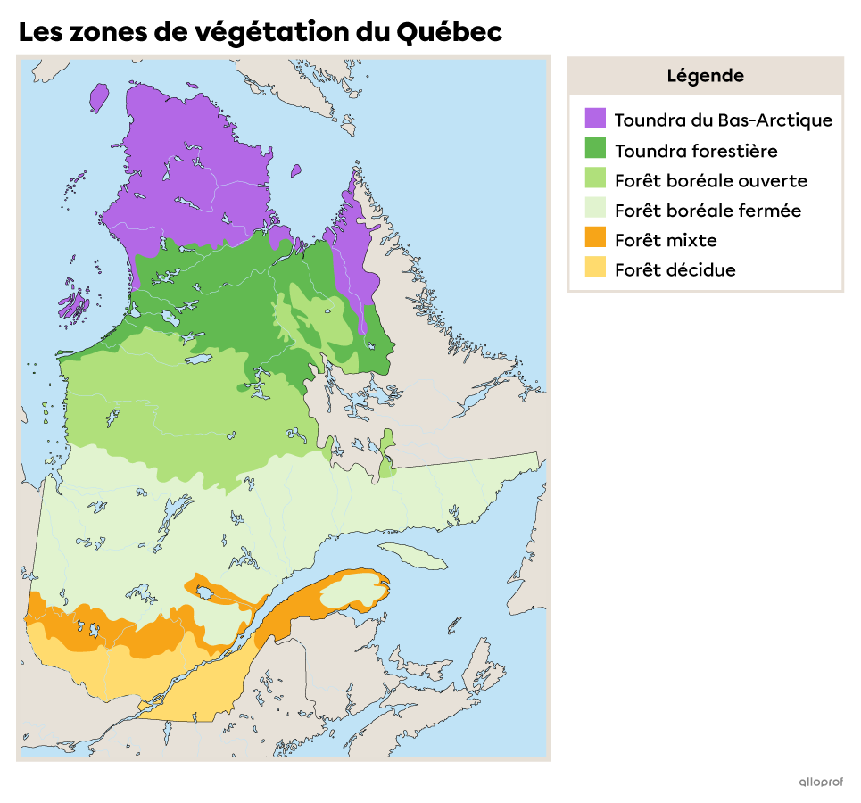 Les zones de végétation du Québec.