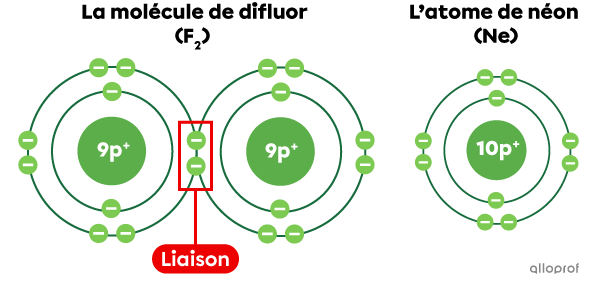 La molécule de difluor (F2) selon le modèle de Rutherford-Bohr.
