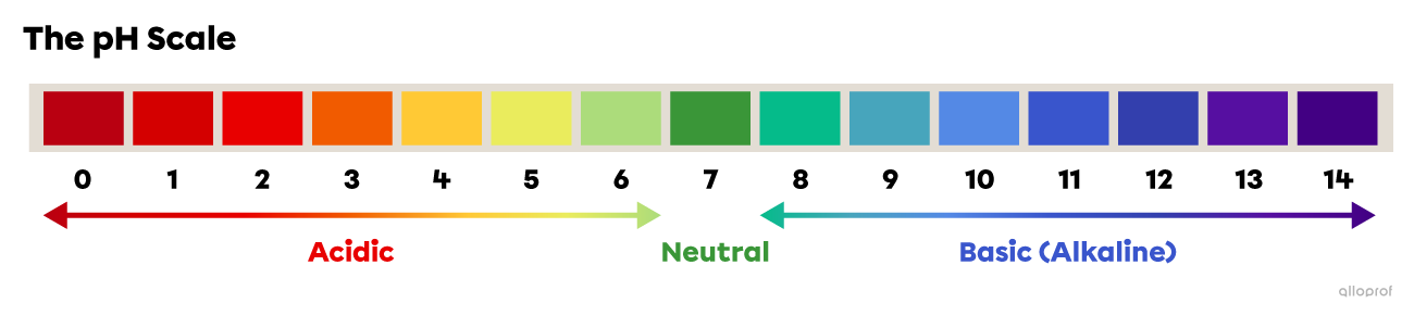 The pH Scale and Acid-Base Indicators | Secondaire | Alloprof