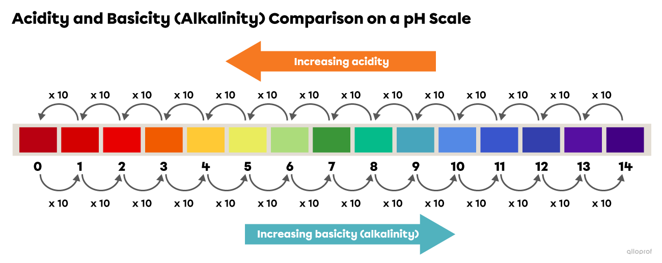 Which Of The Following Is True Regarding The Ph Scale The pH Scale and Acid-Base Indicators | Secondaire | Alloprof