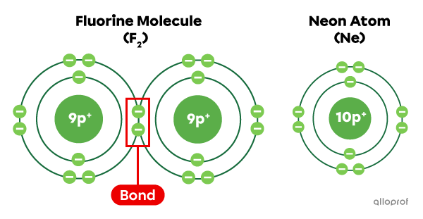 The Rutherford-Bohr model of a fluorine molecule (F2) and a neon atom (Ne).
