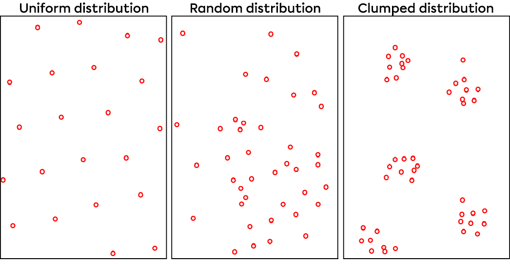 Three types of distribution: uniform, random and clumped.