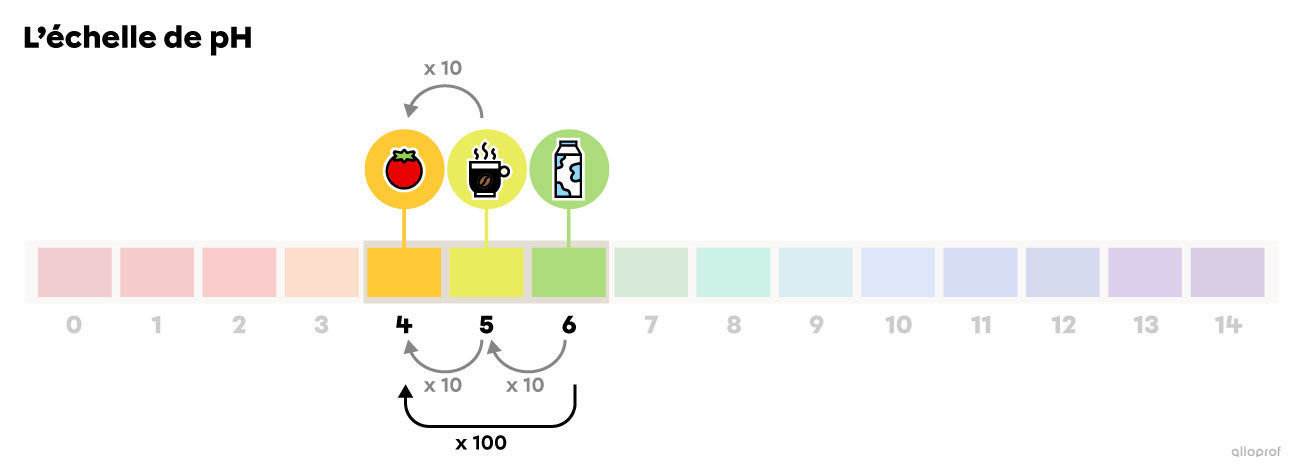 Pour passer d’un pH 5 à un pH 4, on fait un bond sur l’échelle de pH. La variation d’une unité de pH signifie une variation de 10 pour l’acidité. Pour passer d’un pH 6 à un pH 4, on fait deux bonds sur l’échelle de pH. La variation de deux unités de pH signifie une variation de 100 pour l’acidité.