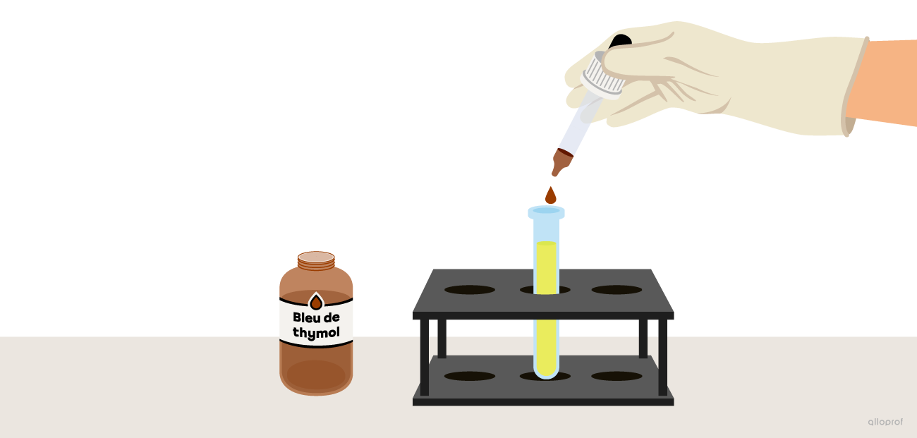 À l’aide d’un compte-goutte, une main dépose quelques gouttes de bleu de thymol dans l’éprouvette remplie de jus de citron.