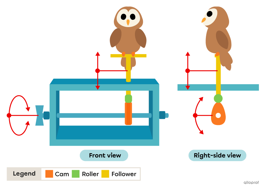 A toy that uses a cam and follower system to raise and lower the owl.