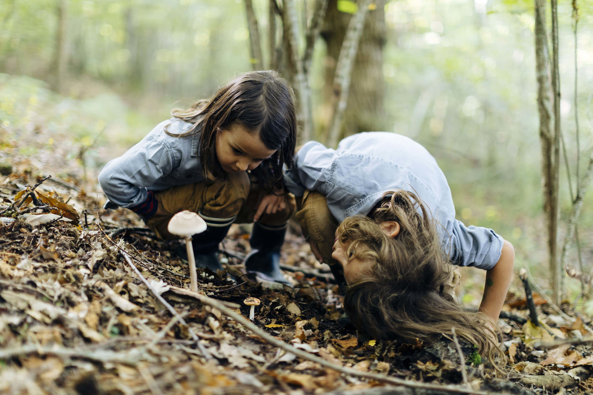 5 activités inspirées de la nature pour consolider les apprentissages