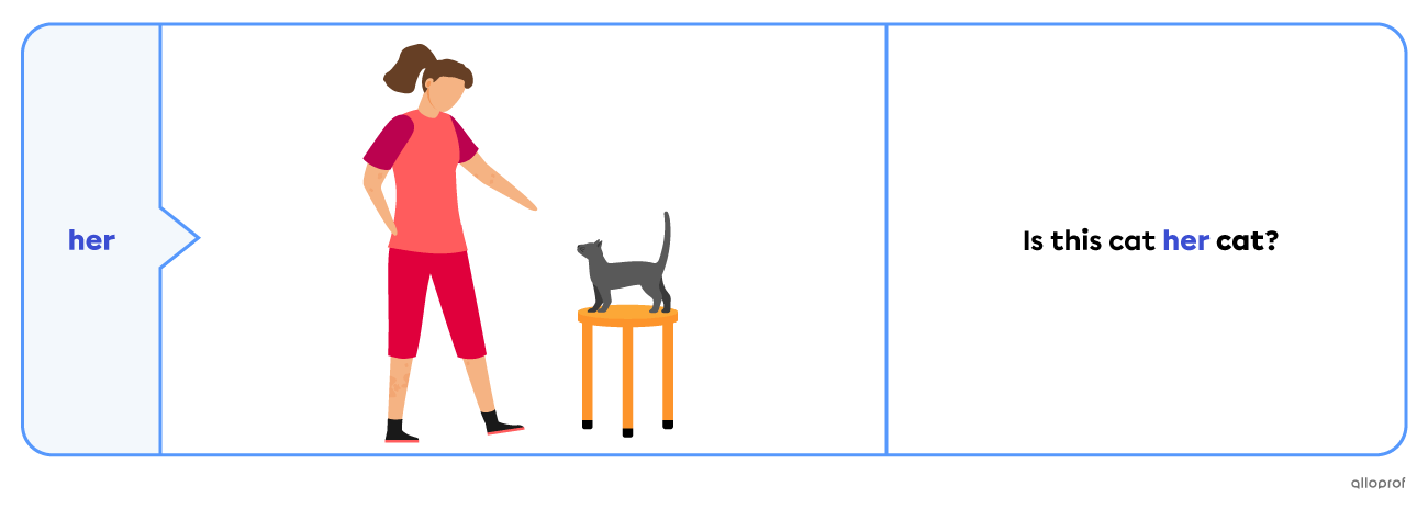Possessive determiner "her".