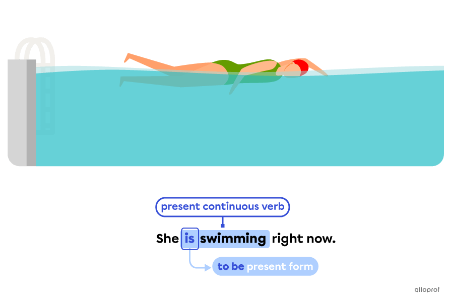 Usage of auxiliary verbs.