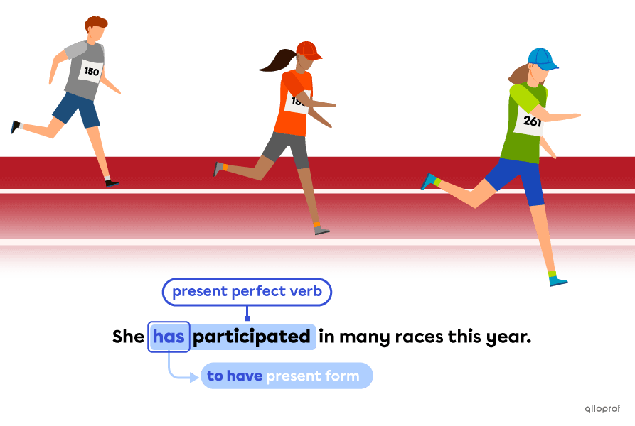 Usage of auxiliary verbs.