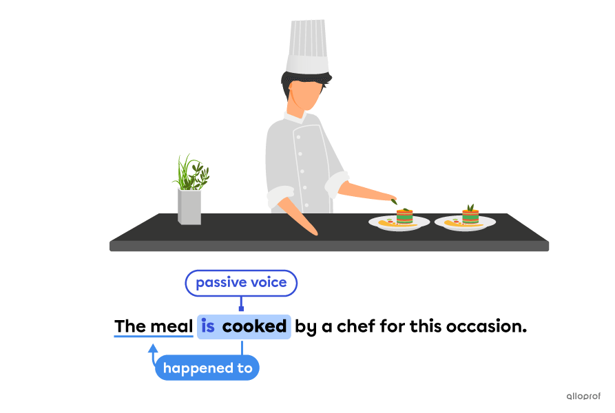 usage of auxiliary verbs with passive voice sentence.