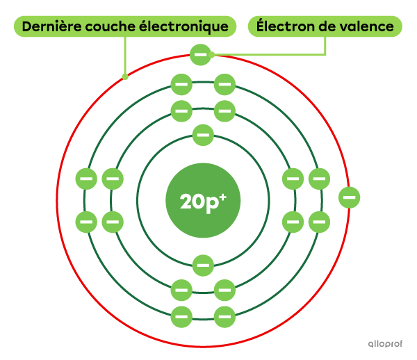 L’atome de calcium (Ca) comprend 20 électrons, dont 2 sont des électrons de valence.