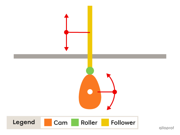 A oval cam and follower system.
