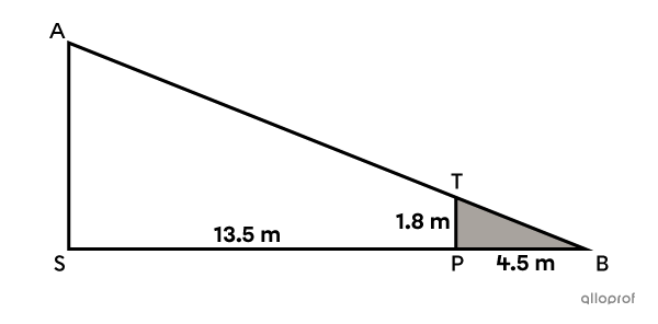 Triangle BAS is similar to triangle BTP by AA.