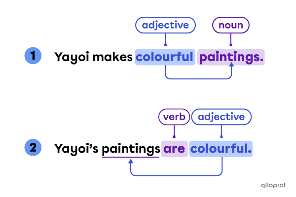 Adjective placed before the noun and adjective placed after the verb.