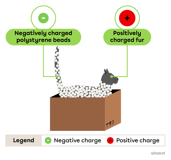 A cat comes out of a cardboard box with polystyrene beads stuck to its fur.
