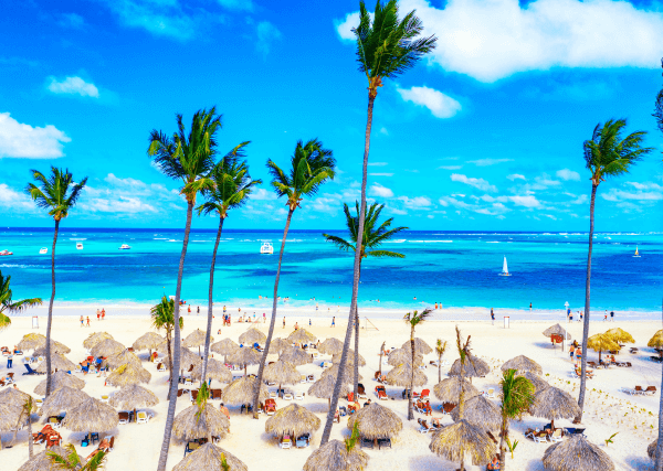 Photographie d’une plage avec des palmiers, des parasols et des voiliers sur l’océan.