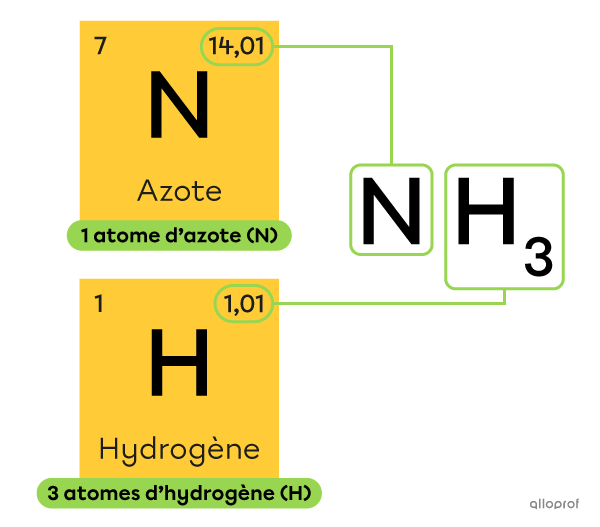 Dans NH3, il y a un atome d’azote dont la masse molaire est 14,01 grammes par mole et il y a 3 atomes d'hydrogène dont la masse molaire est 1,01 gramme par mole.