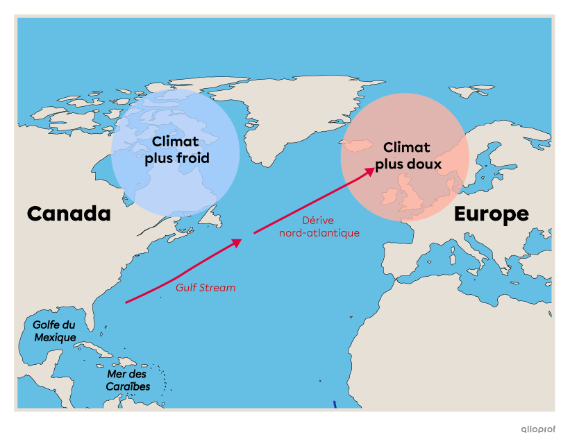 Le Gulf Stream et la dérive nord-atlantique sont des courants chauds de surface qui transportent les eaux chaudes en provenance du golfe du Mexique et de la mer des Caraïbes vers le nord-ouest de l’Europe.