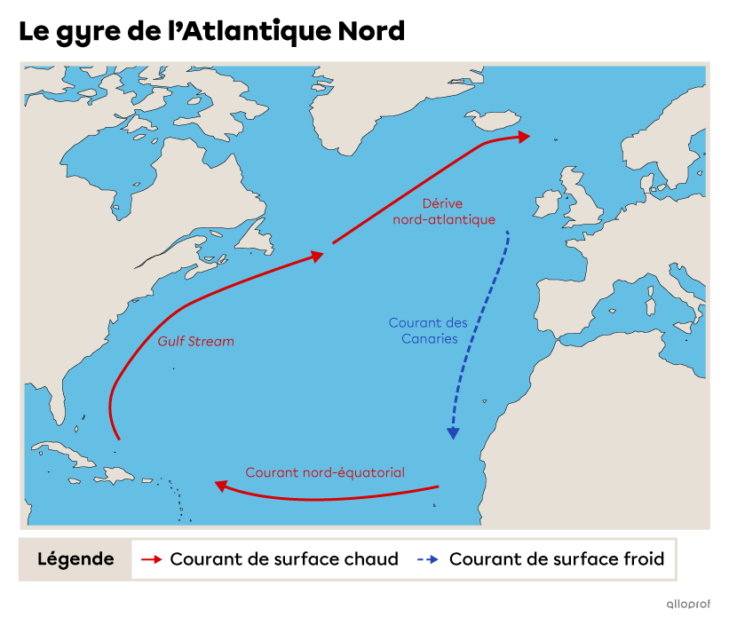 Le courant nord-équatorial, le Gulf Stream et la dérive nord-atlantique sont des courants de surface chauds faisant partie du gyre de l’Atlantique Nord. Le courant des Canaries est un courant de surface froid faisant partie du gyre de l’Atlantique Nord.